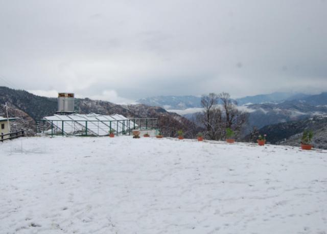 Natureraga Fernhill Resort Chail Exterior photo