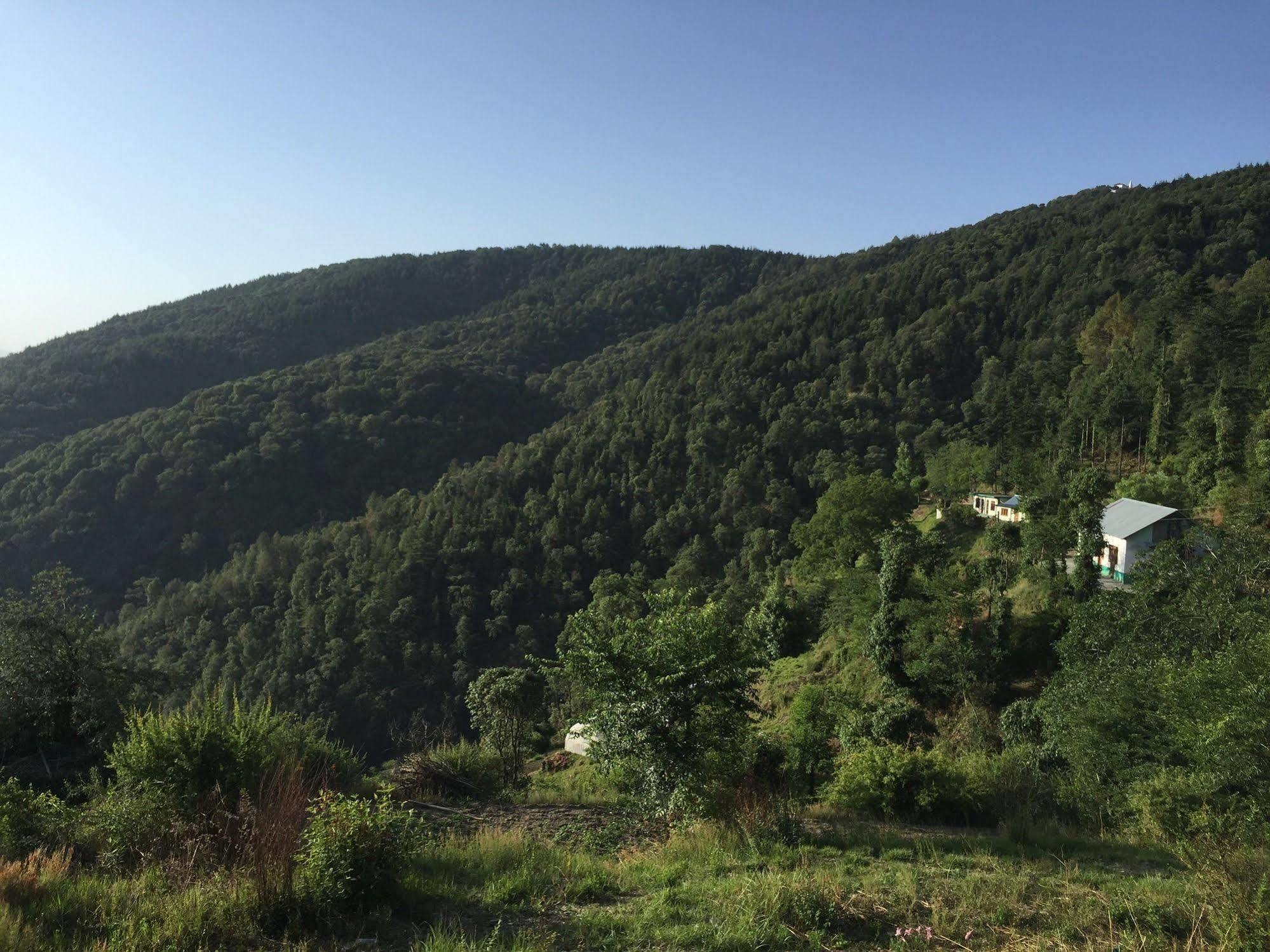 Natureraga Fernhill Resort Chail Exterior photo