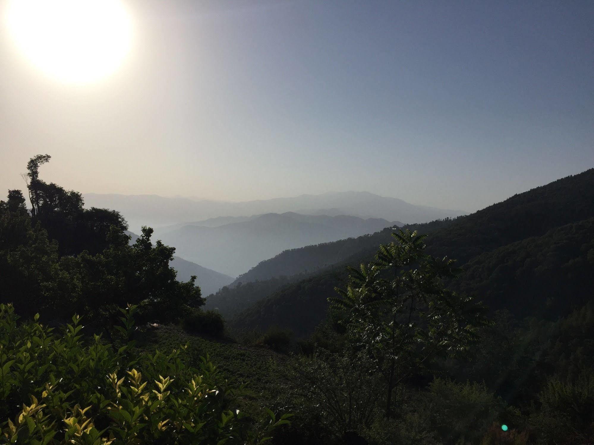 Natureraga Fernhill Resort Chail Exterior photo